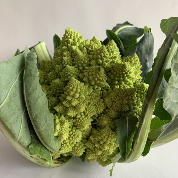 Romanesco