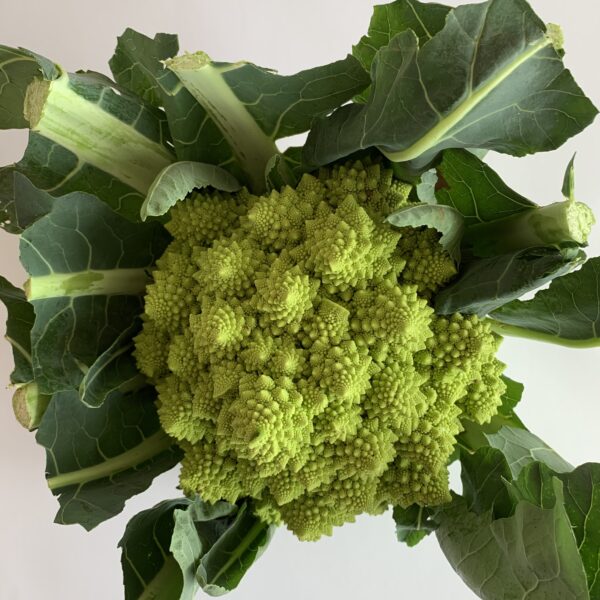 Romanesco