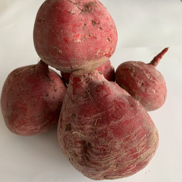 Beetroots Red / Chioggia / Golden