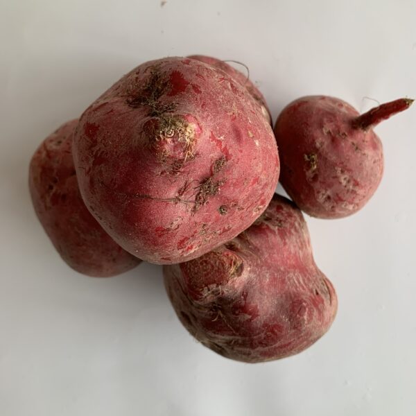 Beetroots Red / Chioggia / Golden
