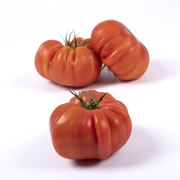 Orange Plum tomatoes